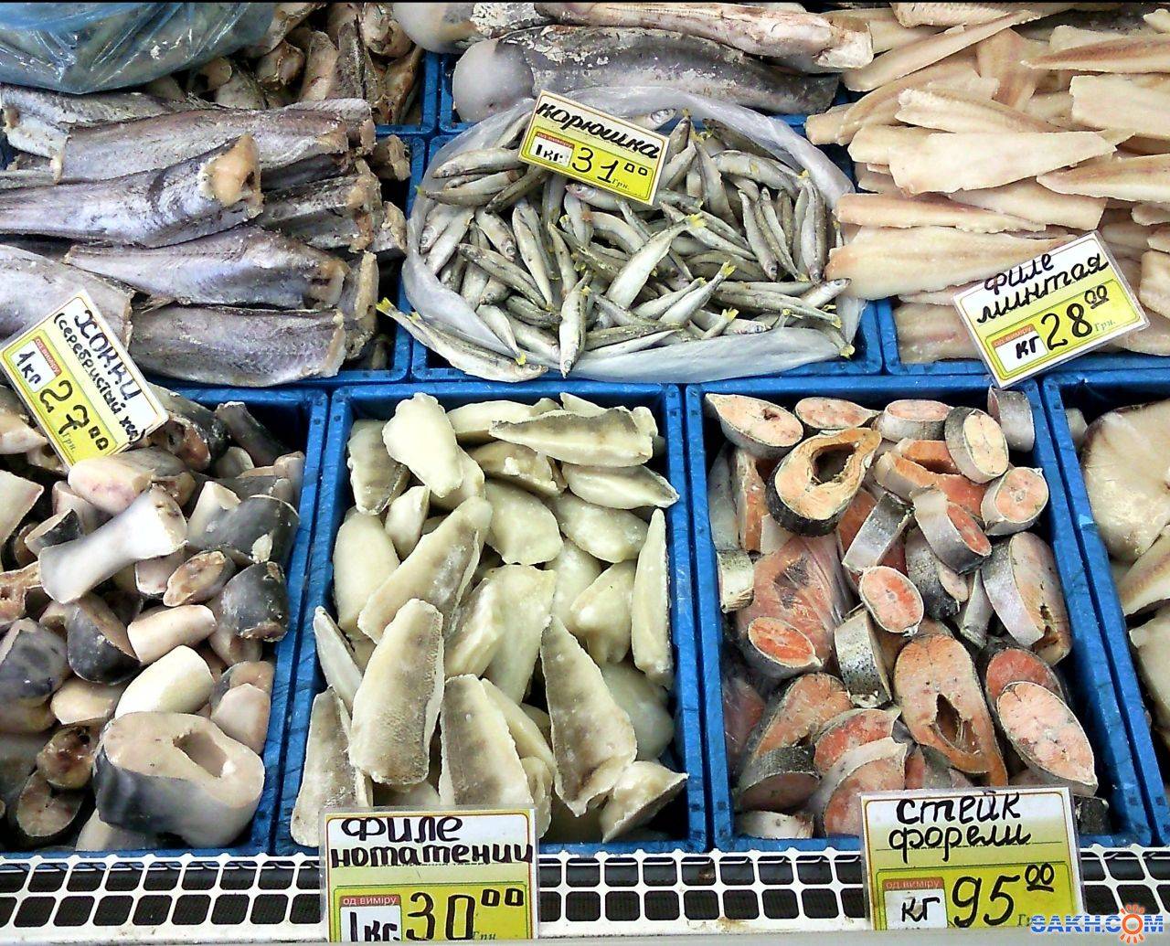 Где Дешевле Купить Рыбки