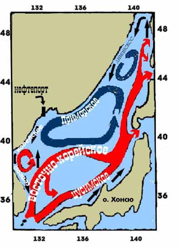 Теплое течение у восточных берегов. Сахалин течения морские. Течения Охотского моря. Морские течения японского моря моря. Карта течений японского моря.