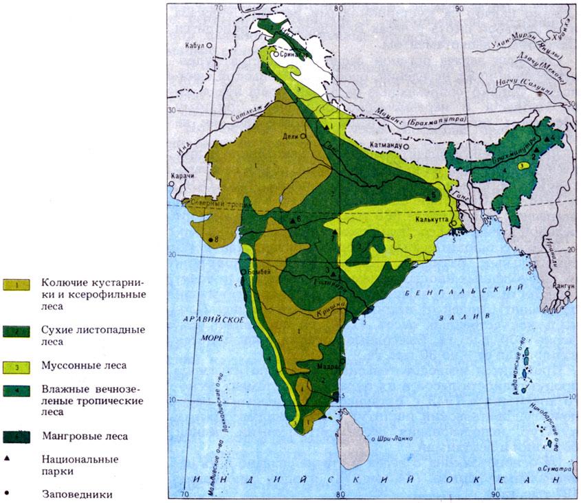 Природные особенности индии. Почвенные ресурсы Индии карта. Природные зоны Индии карта. Природные зоны Индостана карта. Карта природных зон Южной Азии.