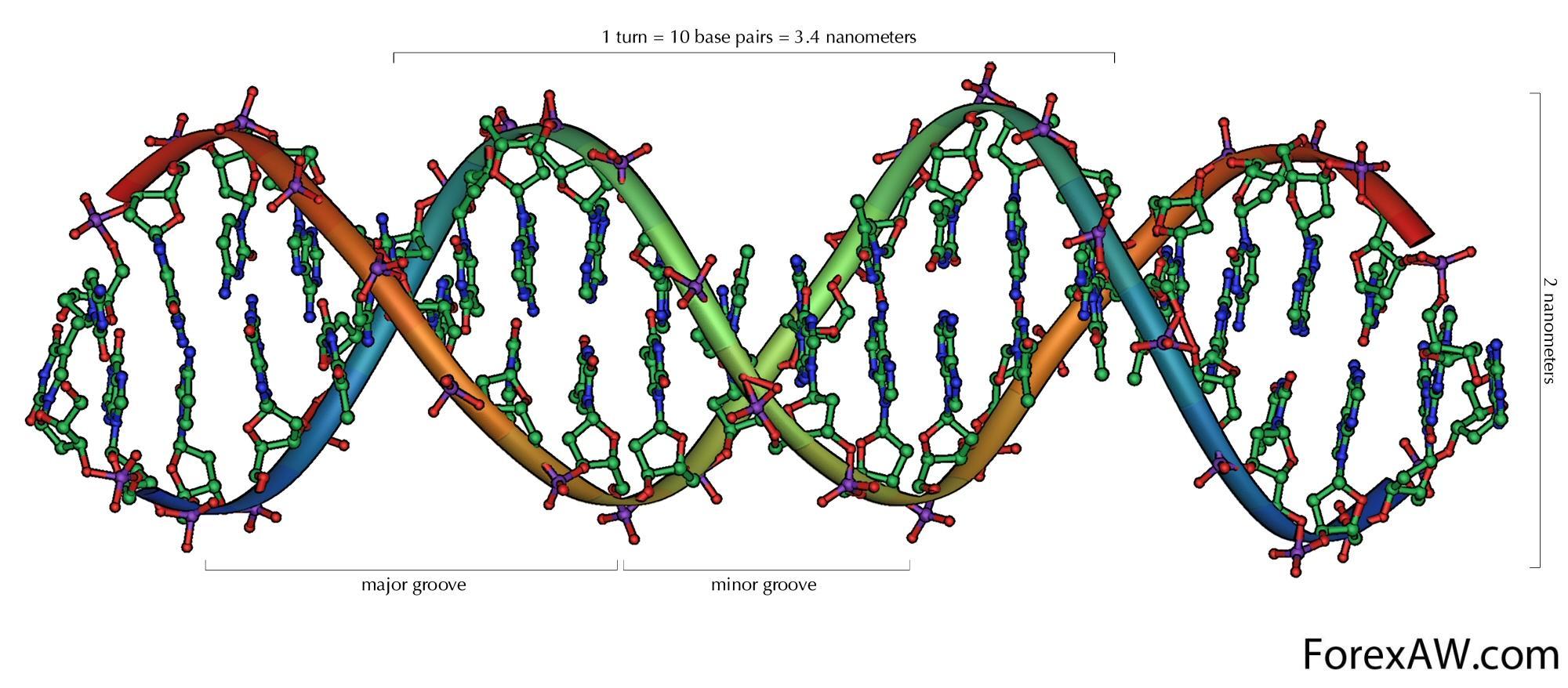 При расшифровке генома папоротника. Спираль ДНК лента Мебиуса. Секвенирование РНК. ДНК генетика биология. Цепочка ДНК коронавируса.