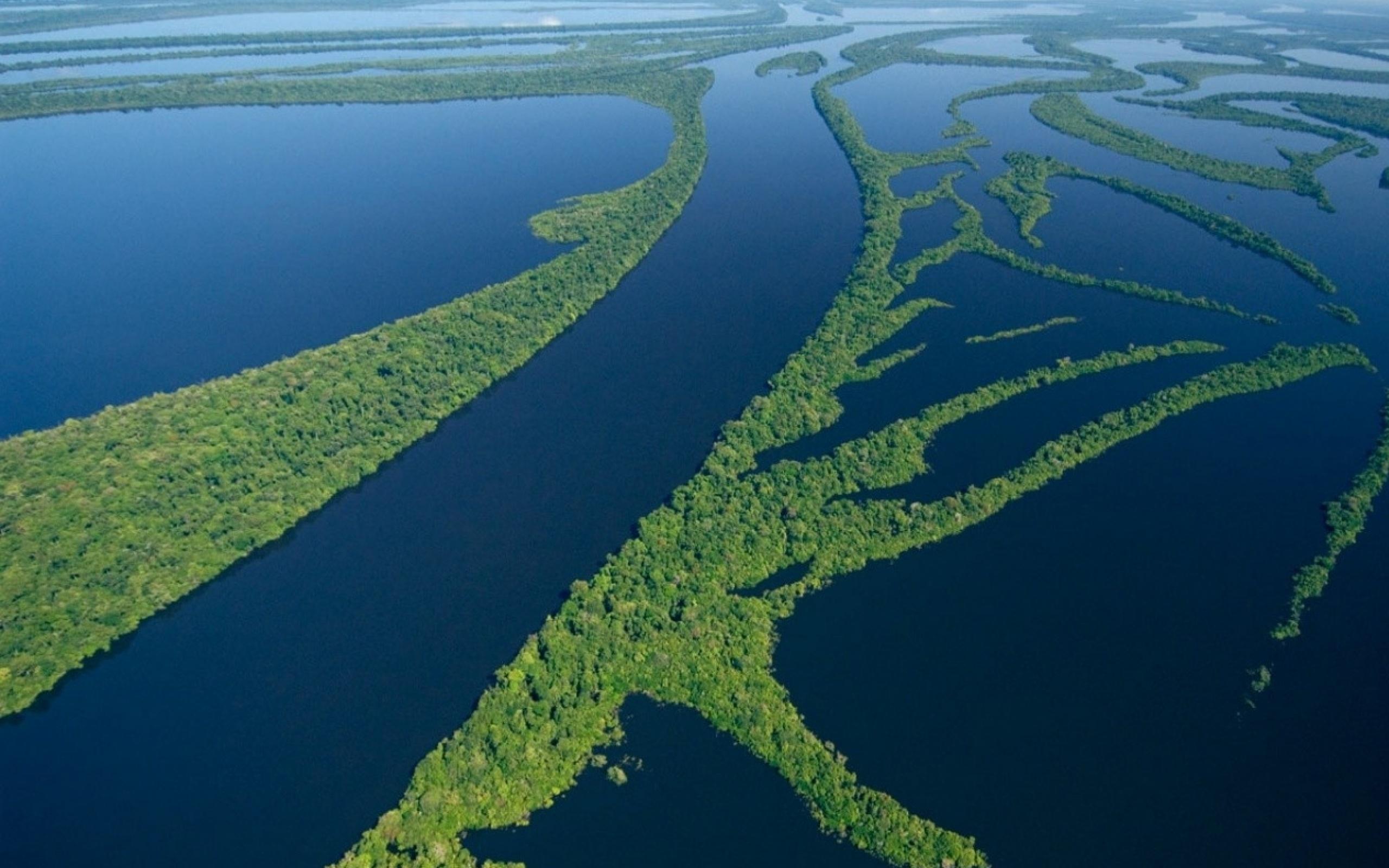 Самая длинная река на свете. Укаяли Исток. Дельта реки Амазонка. Дельта Миссисипи. «Амазония» (Манаус, Бразилия).