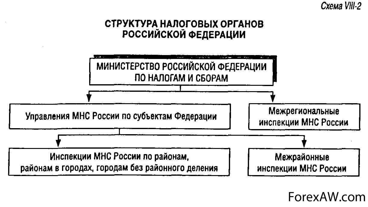 В российской федерации к налоговым органам относятся