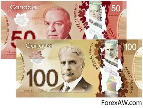 страница 4 | Фото Канадский доллар, более 90 качественных бесплатных стоковых фото