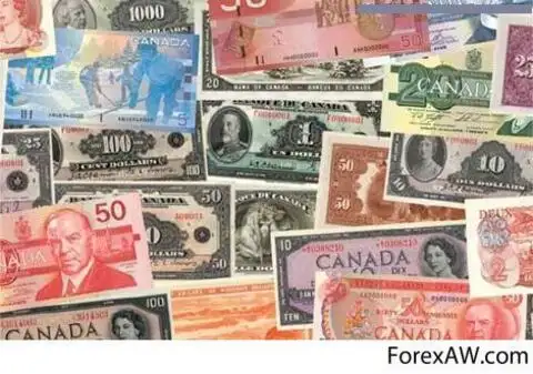 Как выглядит канадский доллар фото