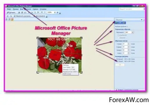 Microsoft office picture manager