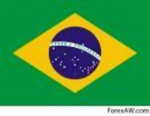 Реферат: Рынок ценных бумаг Бразилии