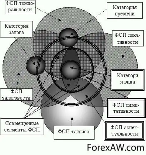 Картинки семантические поля