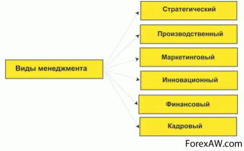 Менеджер виды. Виды менеджмента. Менеджмент виды менеджмента. Виды производственного менеджмента. Виды современного менеджмента.