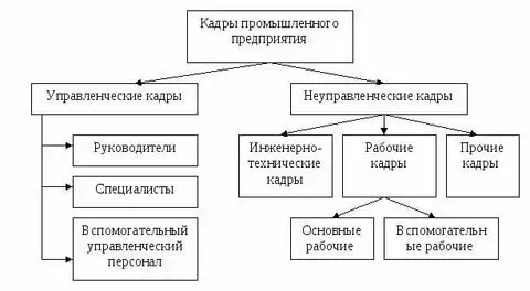 Структура кадров промышленного предприятия
