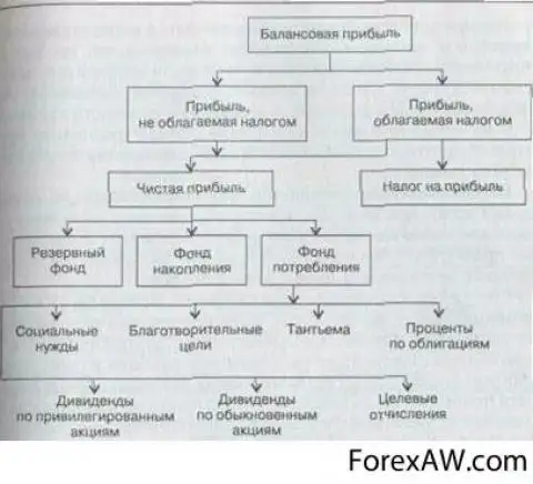 План поступления и распределения прибыли акционерного общества