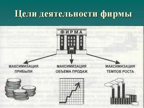 Цель деятельности компании