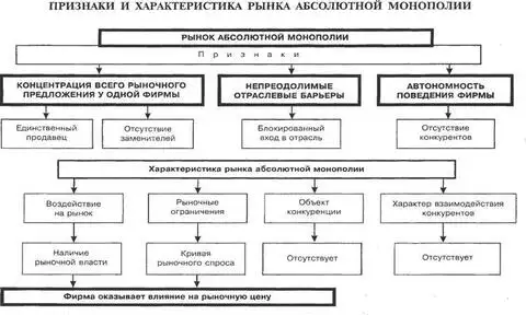 Абсолютная монополия