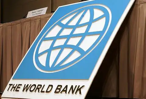 Одной из самых главных организаций, защищающих международных инвесторов, является Всемирный банк