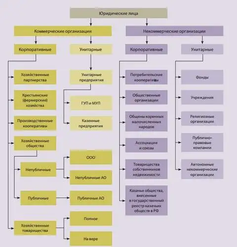Виды юридических лиц