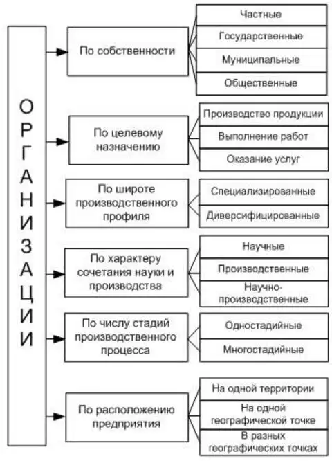 Виды предприятий схема