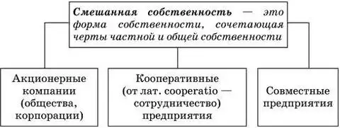 Схема смешанной формы собственности