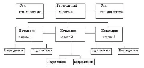 Внутренняя структура управления компанией