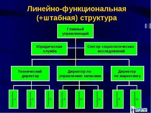 Линейно-функциональная структура компании