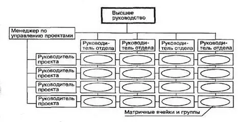 Схема матричной структуры компании