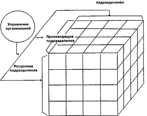 Схема структуры многомерной организации