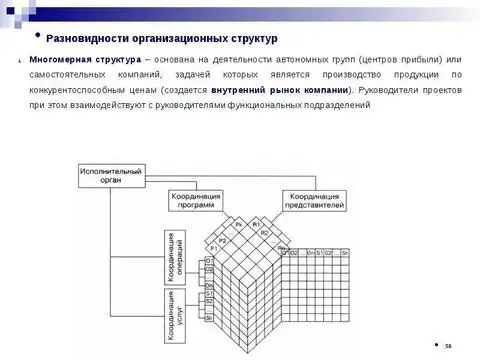 Многомерная структура компании