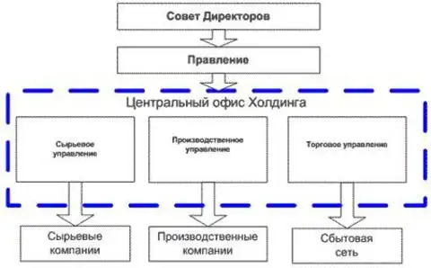 Холдинговая структура управления компанией