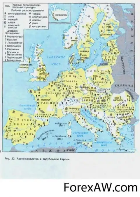 Растениеводство Западной Европы