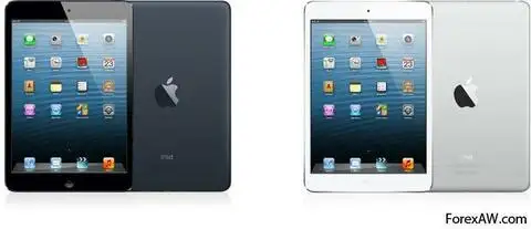 24. iPad mini Черный с тёмно серым