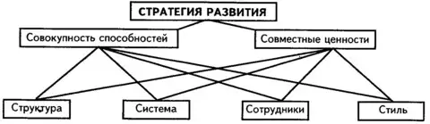 Стратегии развития компании