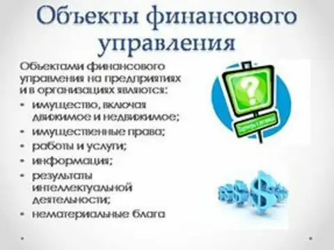 Объект управления финансами