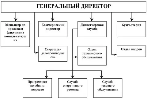 Полномочия генерального директора