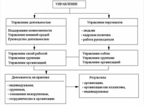 Виды управления компанией