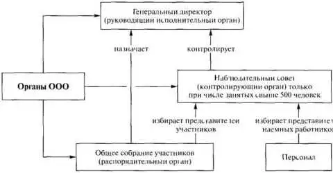 Генеральный директор как орган управления