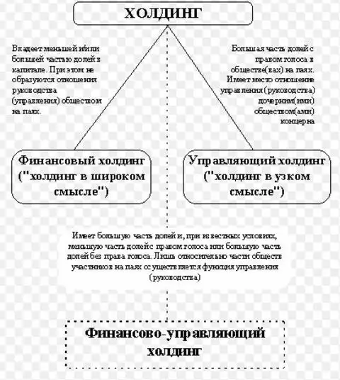 Признаки холдинга. Целями создания холдингов являются. Холдинг. Холдинг это словарь.